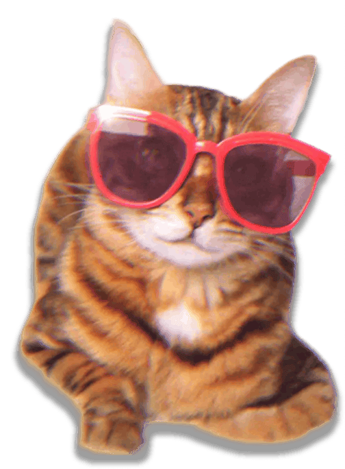 cat-red-sunglasses-cutout
