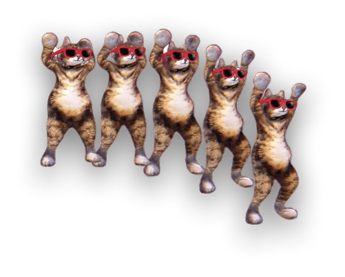 cats-campaign-collage-cutout