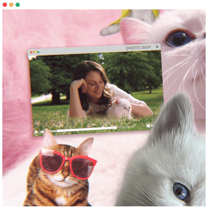 cats-collage-browser-card