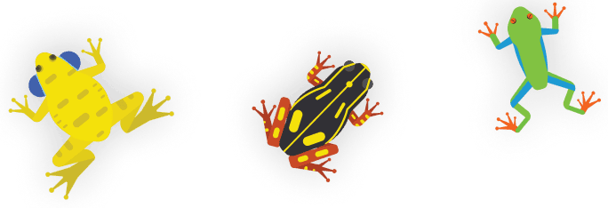 colorful-frog-illustrations