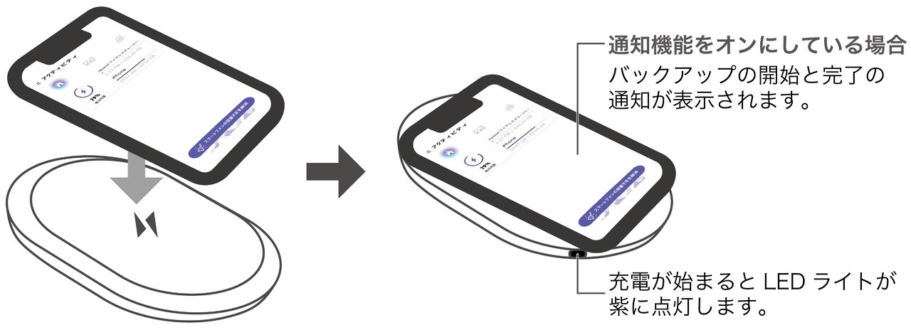 step5_qipoint