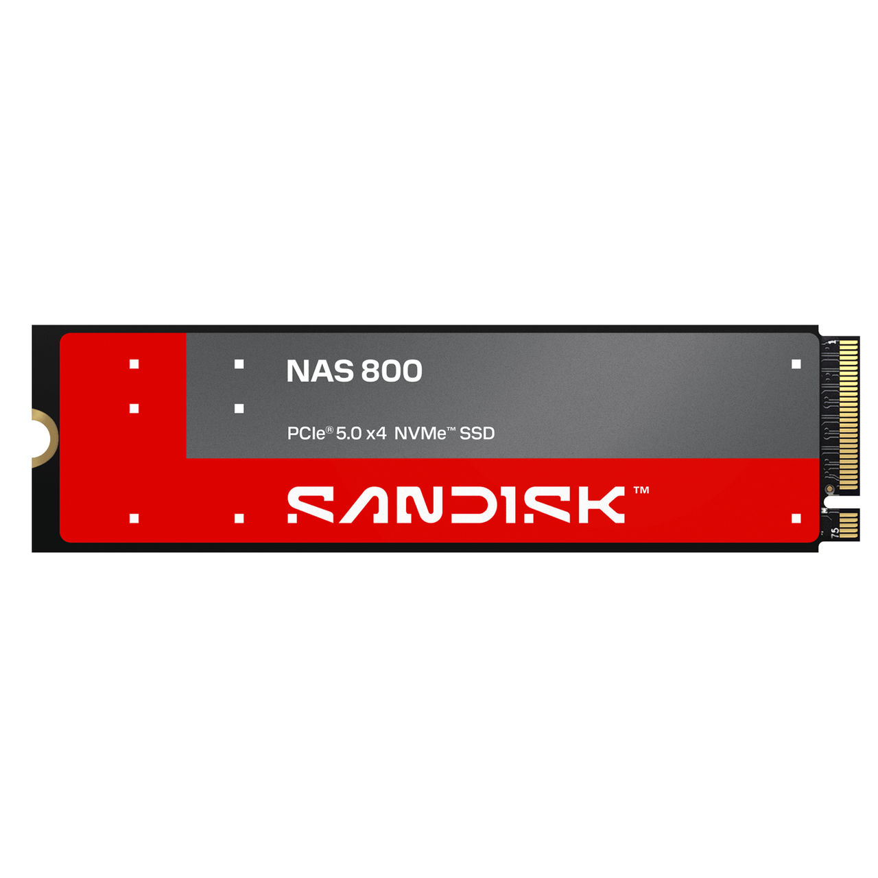 Sandisk NAS 800 NVMe SSD - 1.92TB