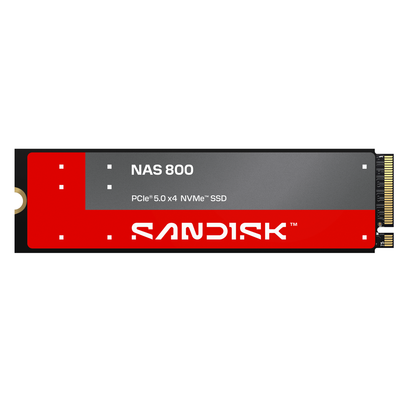 sandisk-nas-800-nvme-ssd-front- Zoom Image