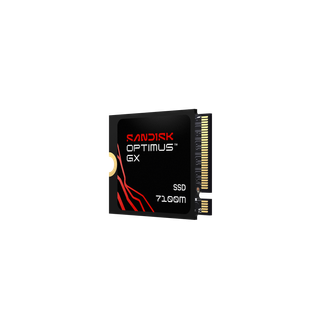 1 TB SANDISK Optimus GX 7100M NVMe™ SSD | Sandisk