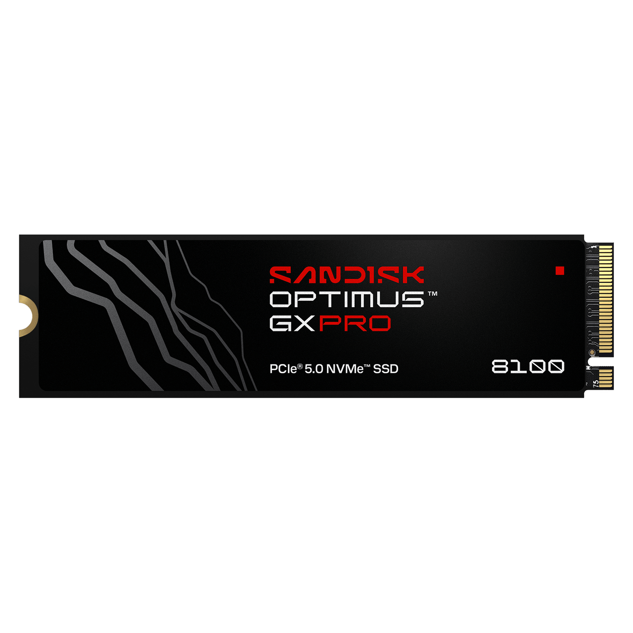 SANDISK Optimus GX PRO 8100 NVMe SSD - without Heatsink - 1TB - Image2