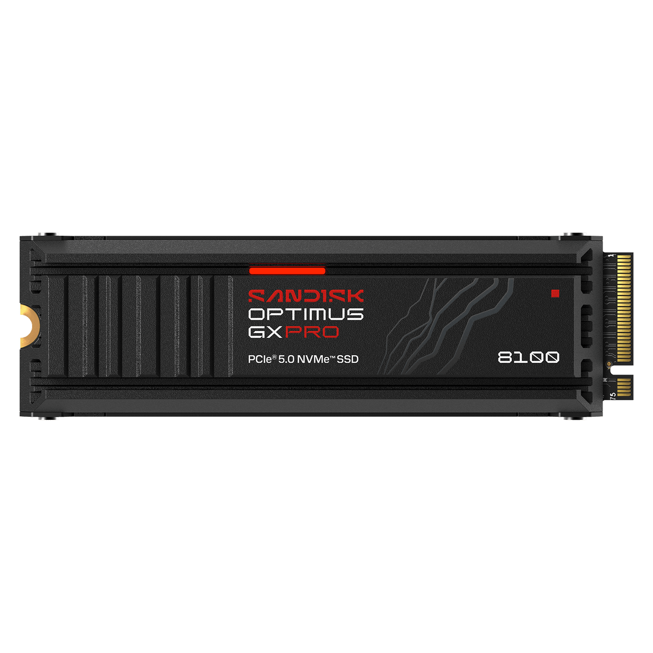 SANDISK Optimus GX PRO 8100 NVMe SSD - with Heatsink - 1TB - Image1