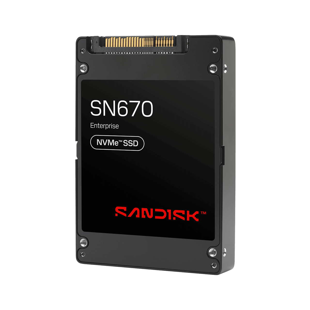 SANDISK SN670 NVMe SSD - 122.88TB ISE - Image1