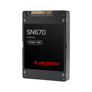 内蔵ソリッドステートドライブを購入：内蔵NVMe SSD | Sandisk