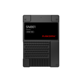 1.6TB U.2 SANDISK SN861 NVMe SSD | Sandisk