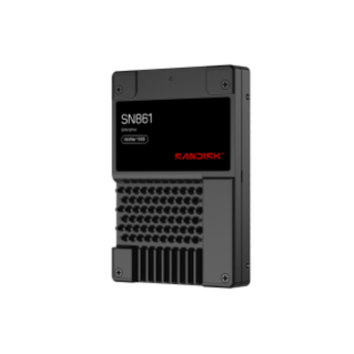 6.4TB U.2 SANDISK SN861 NVMe™ SSD | Sandisk