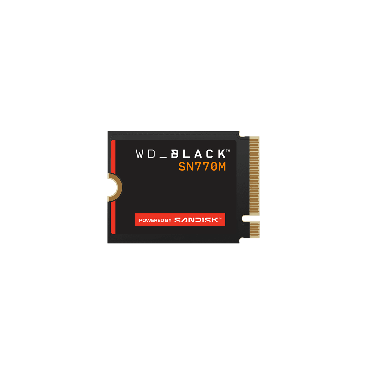 WD_BLACK\u2122 SN770M NVMe\u2122 SSD - 1TB - Image1