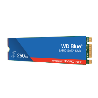 250 GB WD Blue SA510 SATA SSD M.2 2280 | Sandisk