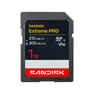 SanDisk Extreme Pro 1TB◆使用9717時間◆健康状態98% SanDisk Extreme Pro 1TB◇使用9717時間◇健康状態98% 【公式通販】