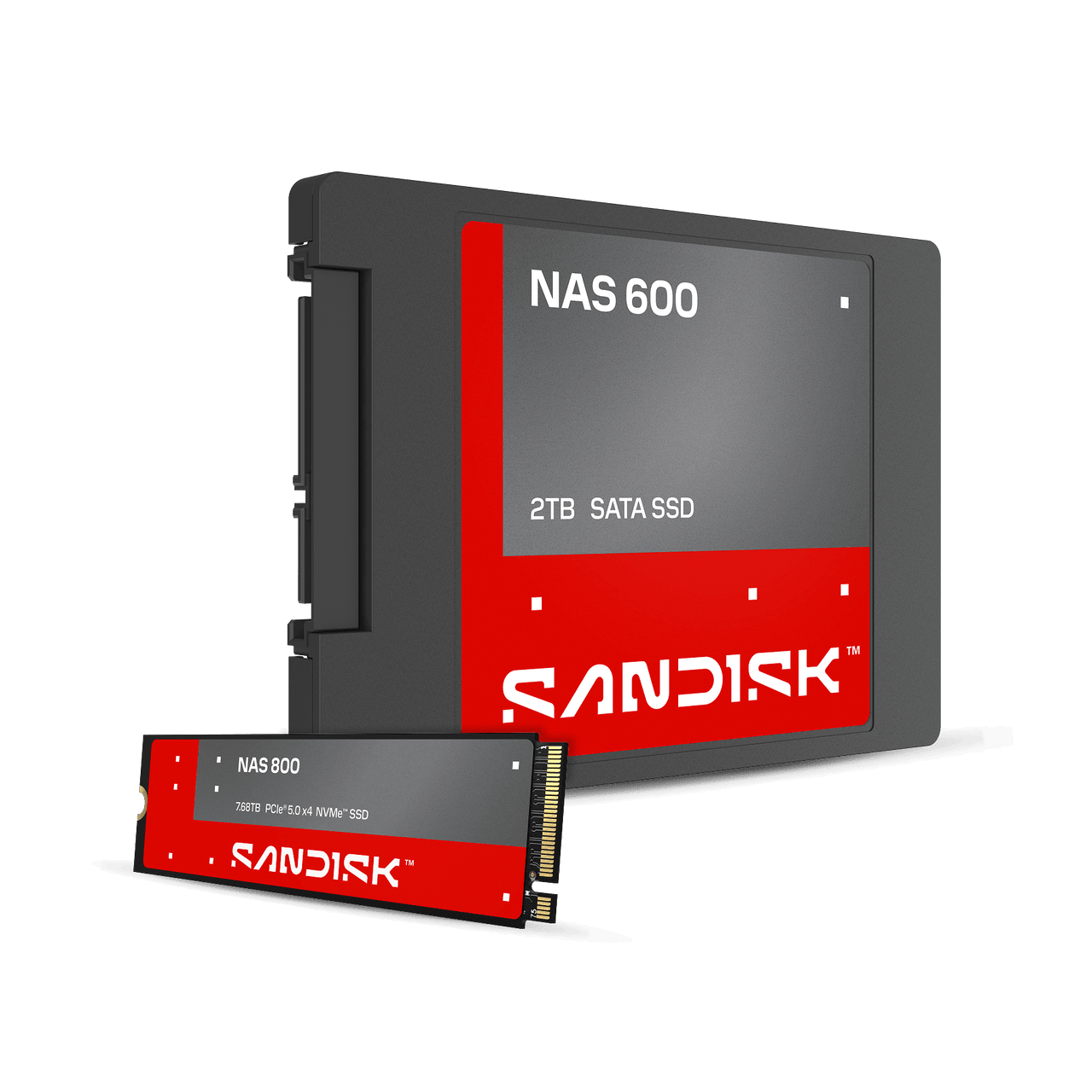 sandisk-nas-600-sata.png