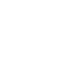 memory-icon