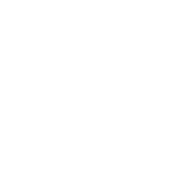 speed-icon