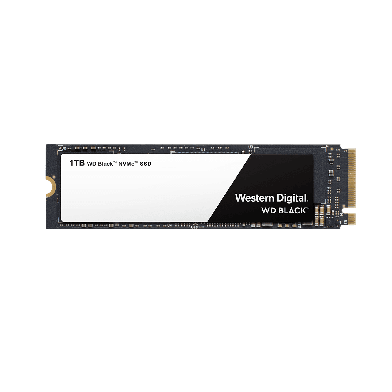 1 TB WD BLACK NVME SSD 2018 | Sandisk