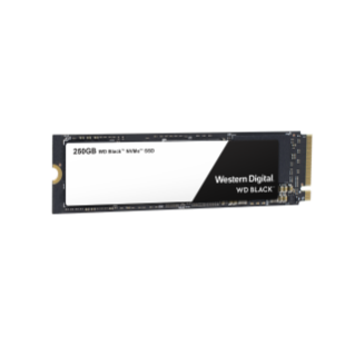 250GB WD BLACK NVME SSD 2018 | Sandisk
