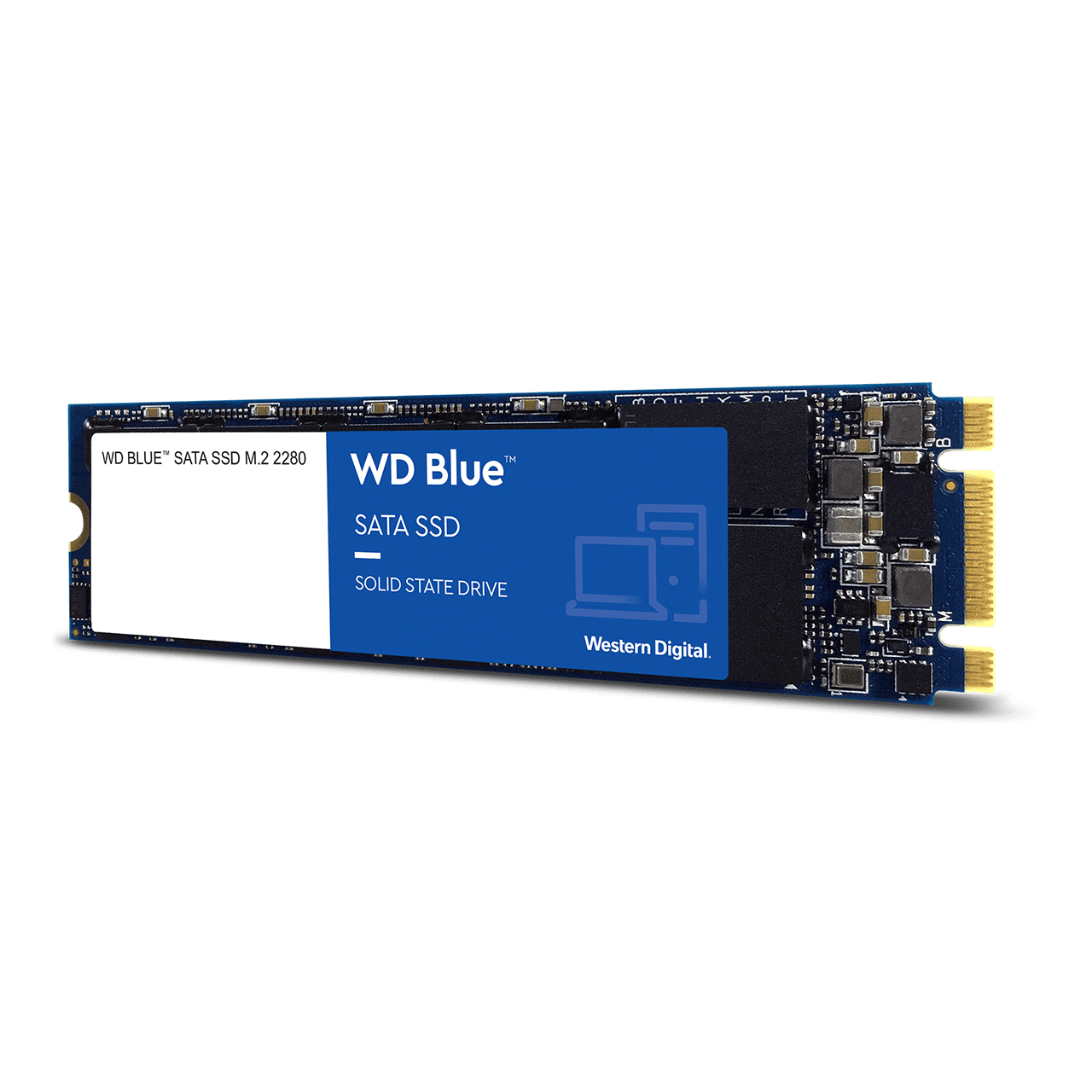 内蔵型SSD WD Blue 3D NAND 1TB M.2 2280 SATA SSD WDブルー3D SATA M.2 1TB SSD 5年保証