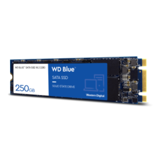 250 GB WD Blue SATA SSD M.2 2280 | Sandisk