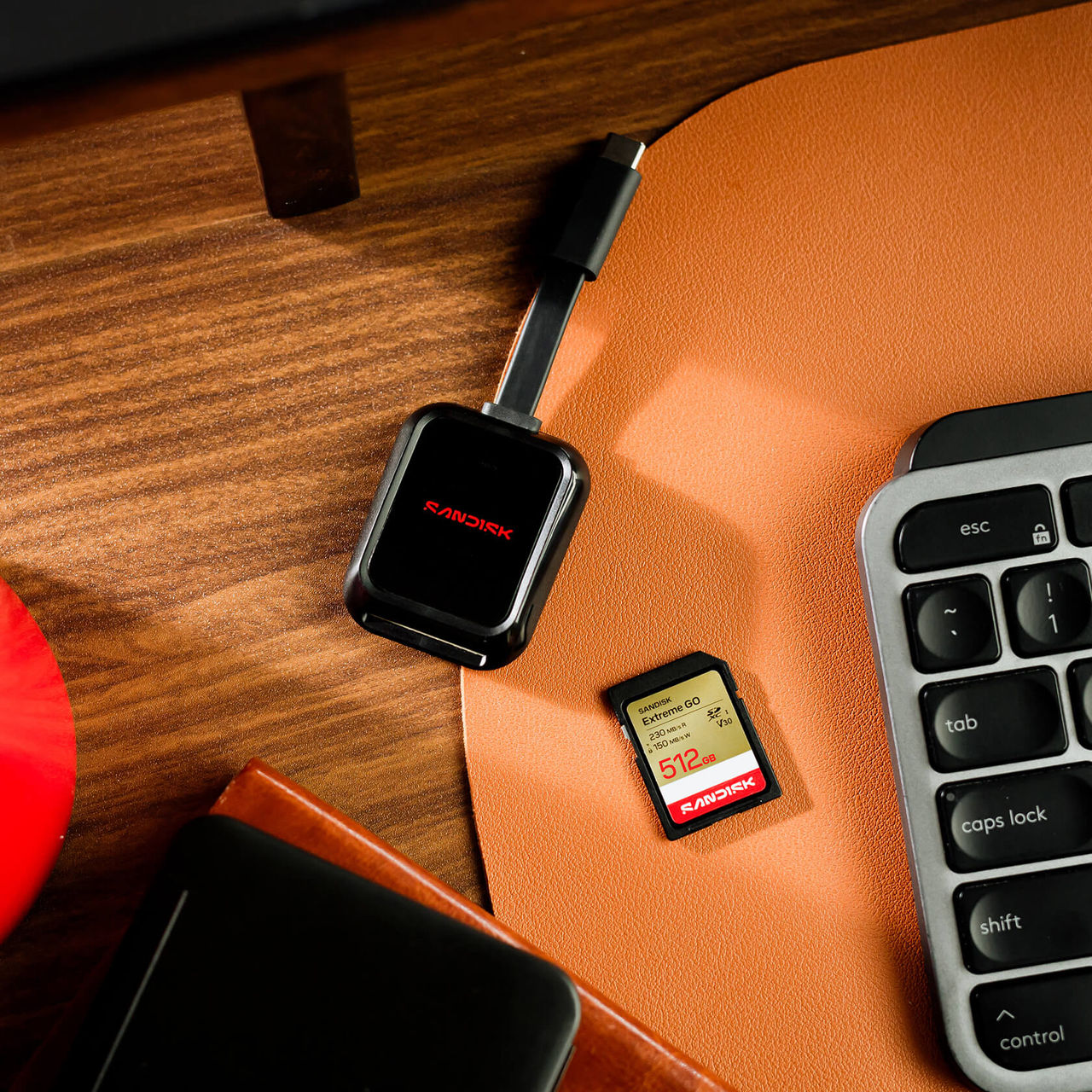 SanDisk Extreme GO SD