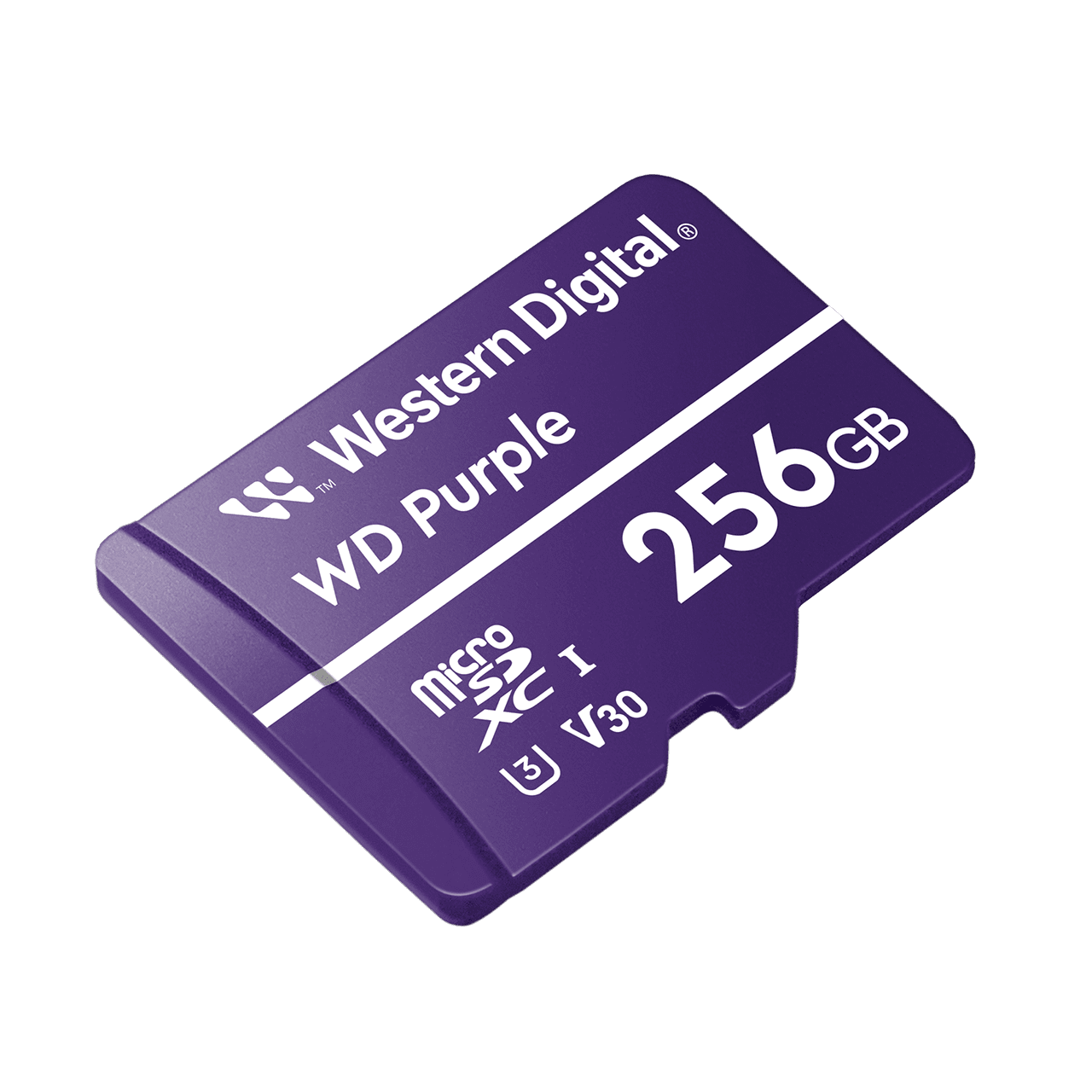 WD Purple SC QD102 High Endurance microSD Card | Sandisk