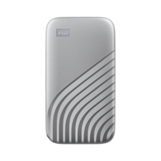 500GB Gray My Passport SSD | Sandisk