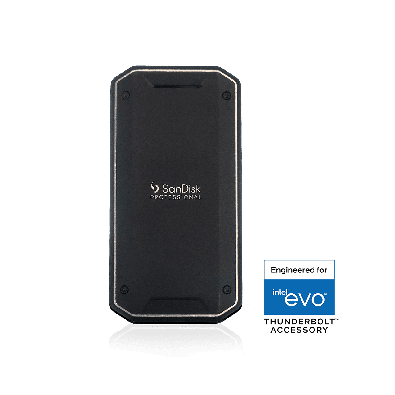 4TB SanDisk Professional PRO-G40 SSD (exFAT) | Sandisk