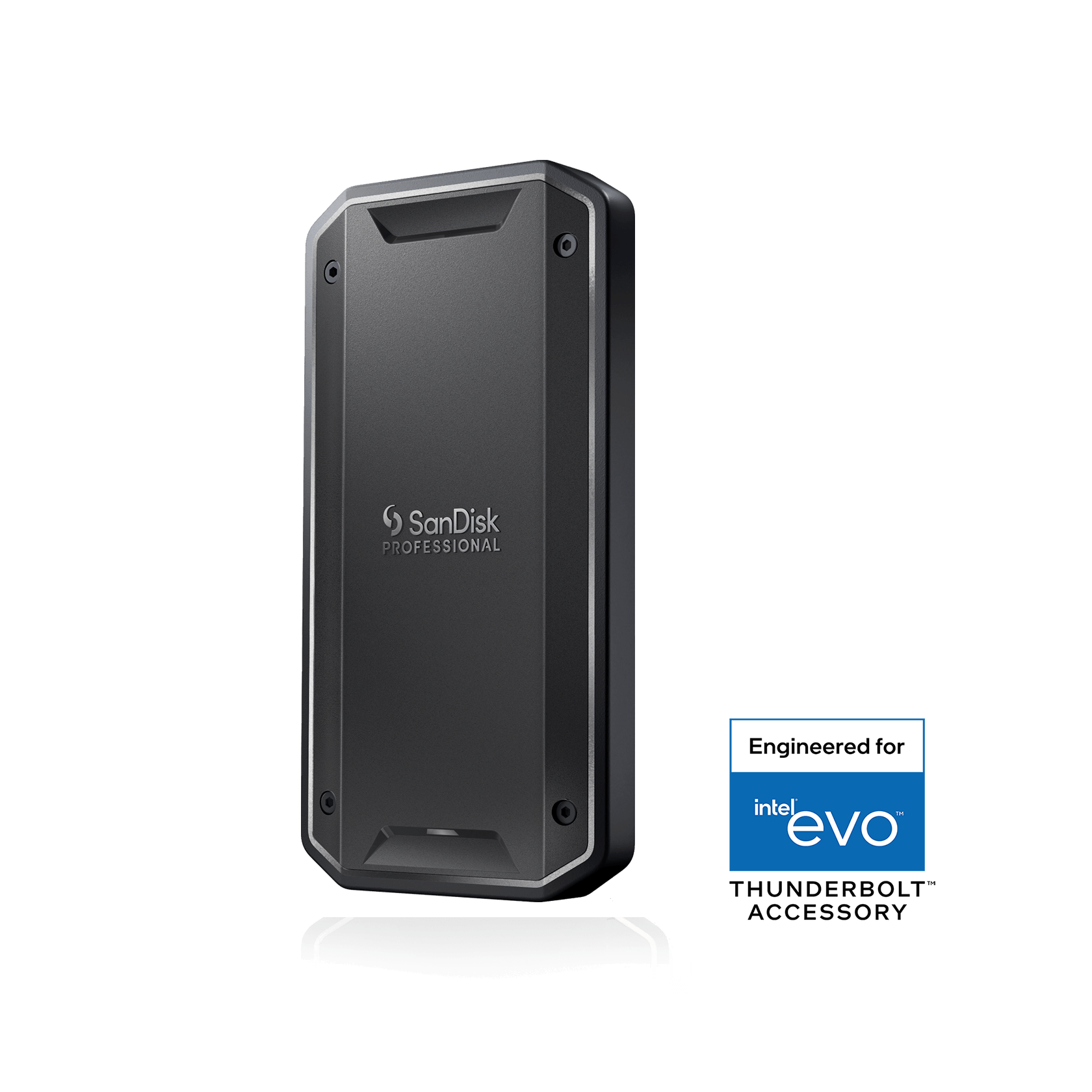 期間限定販売 SanDiskのPRO-G40 SSD 4TB 4TB SanDisk Professional PRO-G40 SSD (exFAT) | Sandisk